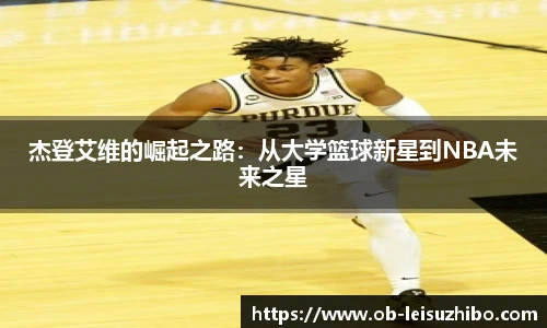 雷速体育